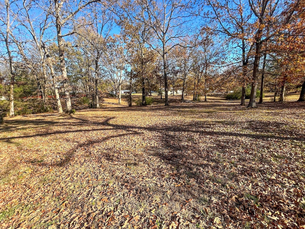 0 Reese Dr, Eva, TN 38333