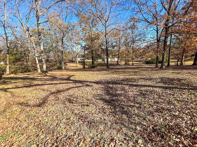0 Reese Dr, Eva, TN 38333