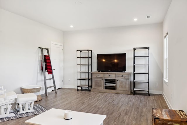 living room featuring wood-type flooring