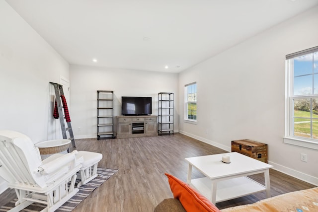 living room with dark hardwood / wood-style floors and a healthy amount of sunlight