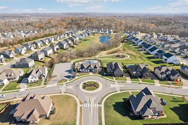 bird's eye view