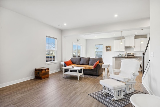 living room featuring light hardwood / wood-style flooring