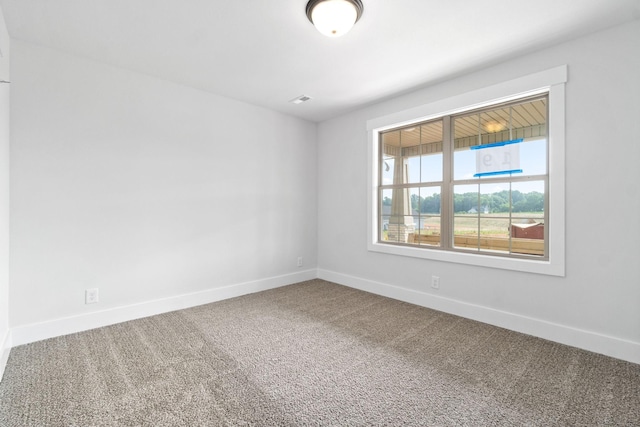 unfurnished room featuring carpet