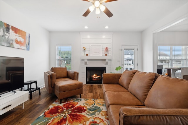 living room with a large fireplace, ceiling fan, and dark wood-type flooring