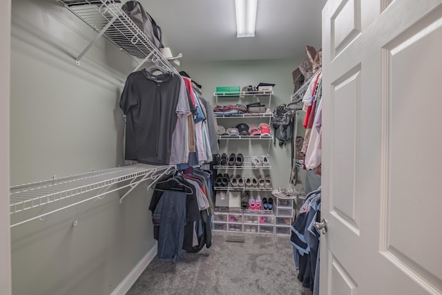 walk in closet with carpet floors