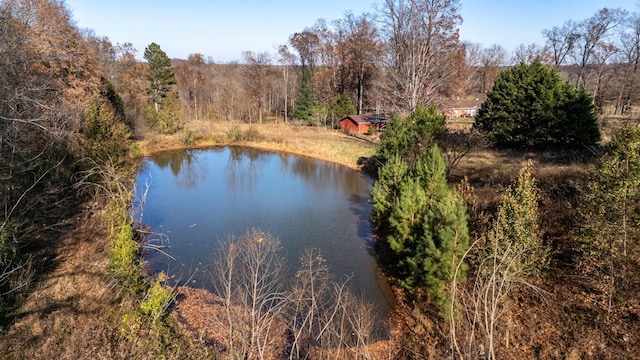 view of water feature