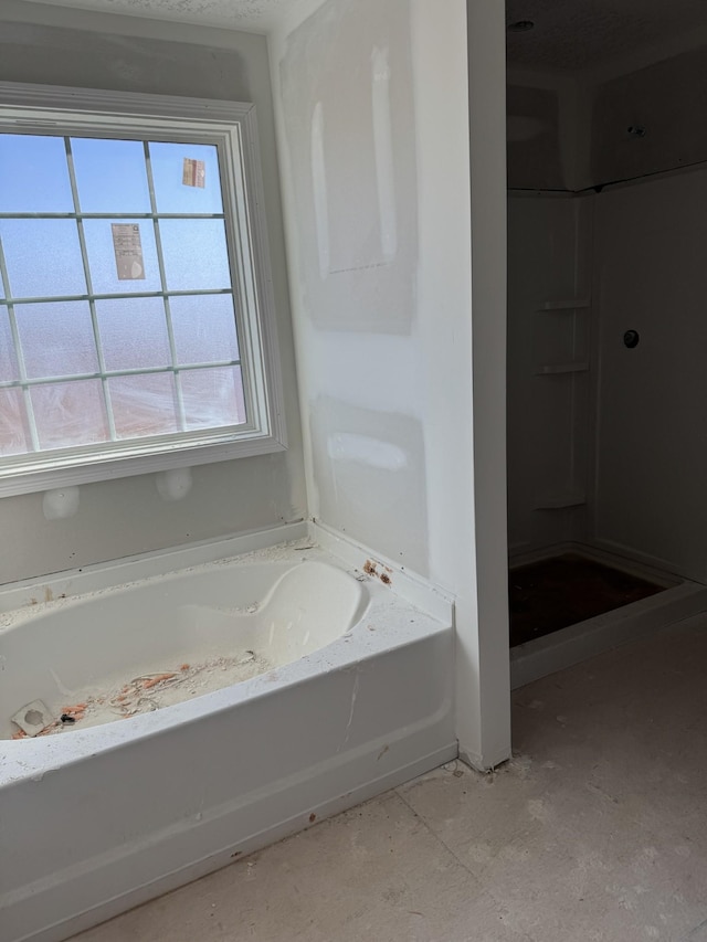 bathroom with a bathing tub