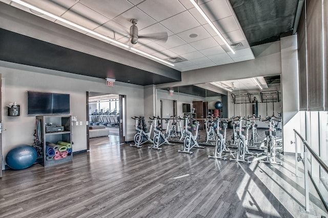 exercise room with hardwood / wood-style flooring and ceiling fan