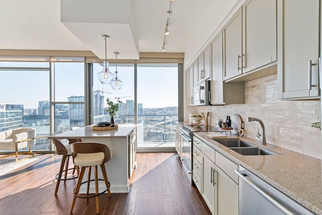 kitchen featuring rail lighting, dark hardwood / wood-style floors, sink, and appliances with stainless steel finishes