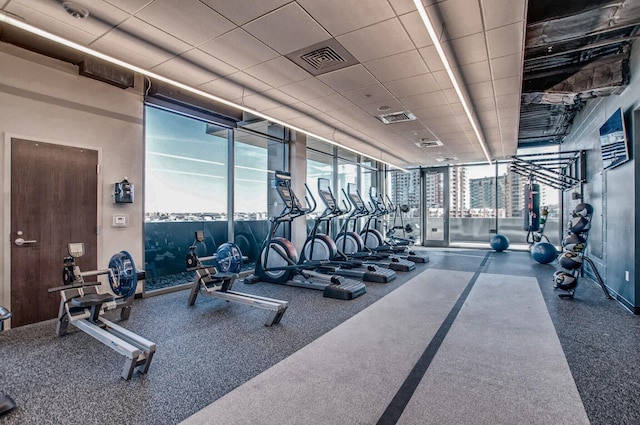 workout area featuring a healthy amount of sunlight and a wall of windows