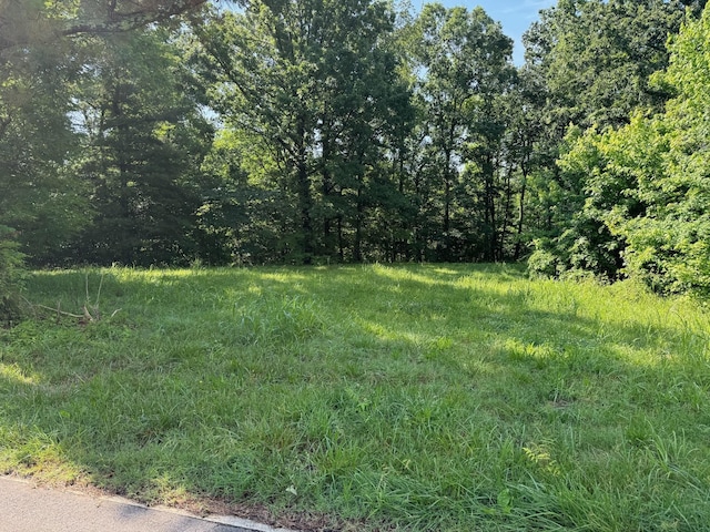 0 Mockingbird Hill Rd, Palmyra TN, 37142 land for sale