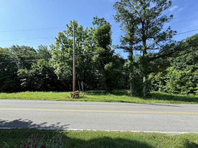 Listing photo 3 for 0 Mockingbird Hill Rd, Palmyra TN 37142