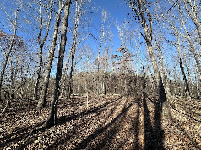 view of local wilderness