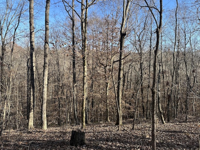 view of local wilderness