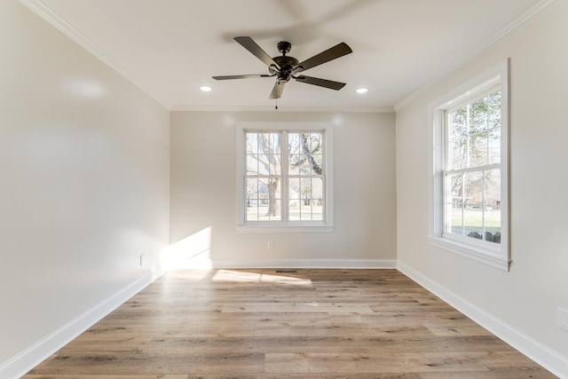 empty room with ceiling fan, plenty of natural light, ornamental molding, and light hardwood / wood-style flooring