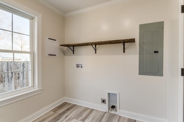 clothes washing area featuring electric panel, crown molding, light hardwood / wood-style flooring, washer hookup, and hookup for an electric dryer