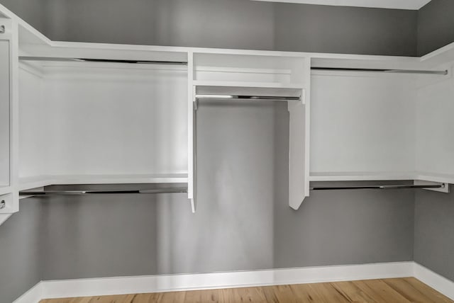 spacious closet featuring light wood-type flooring