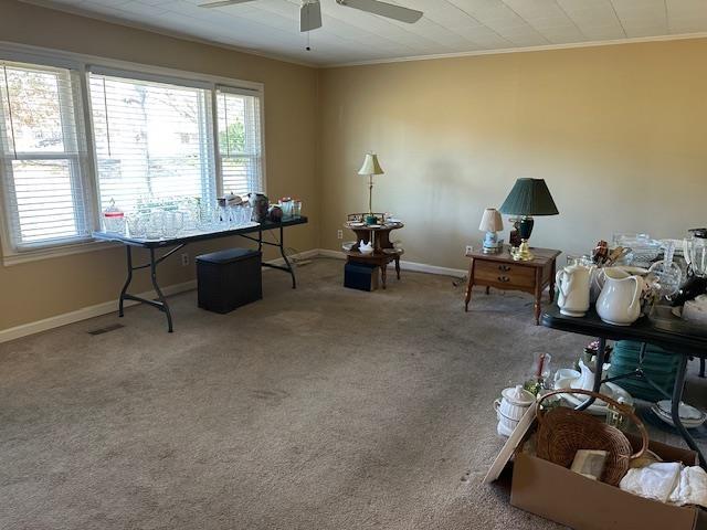 home office featuring carpet, ceiling fan, and crown molding