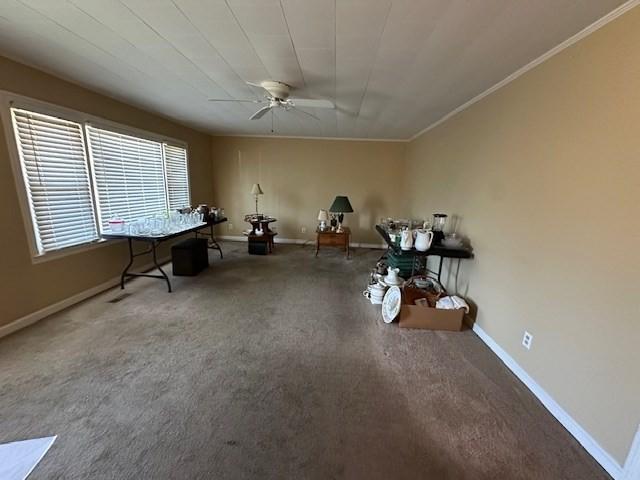 miscellaneous room with carpet, ceiling fan, and crown molding