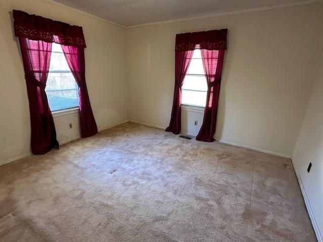 carpeted empty room featuring a wealth of natural light and ornamental molding