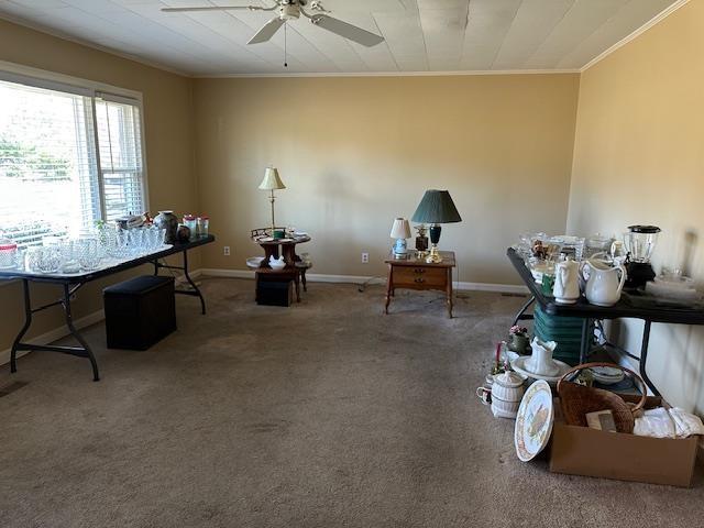 carpeted home office featuring ceiling fan and ornamental molding