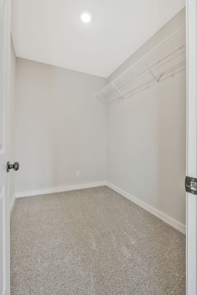 spacious closet featuring carpet flooring