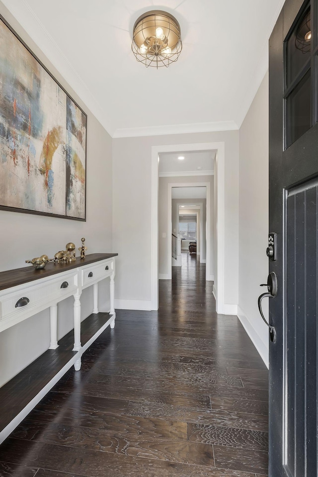 foyer with dark hardwood / wood-style flooring and ornamental molding