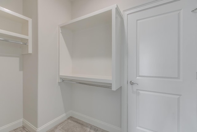 spacious closet with carpet floors