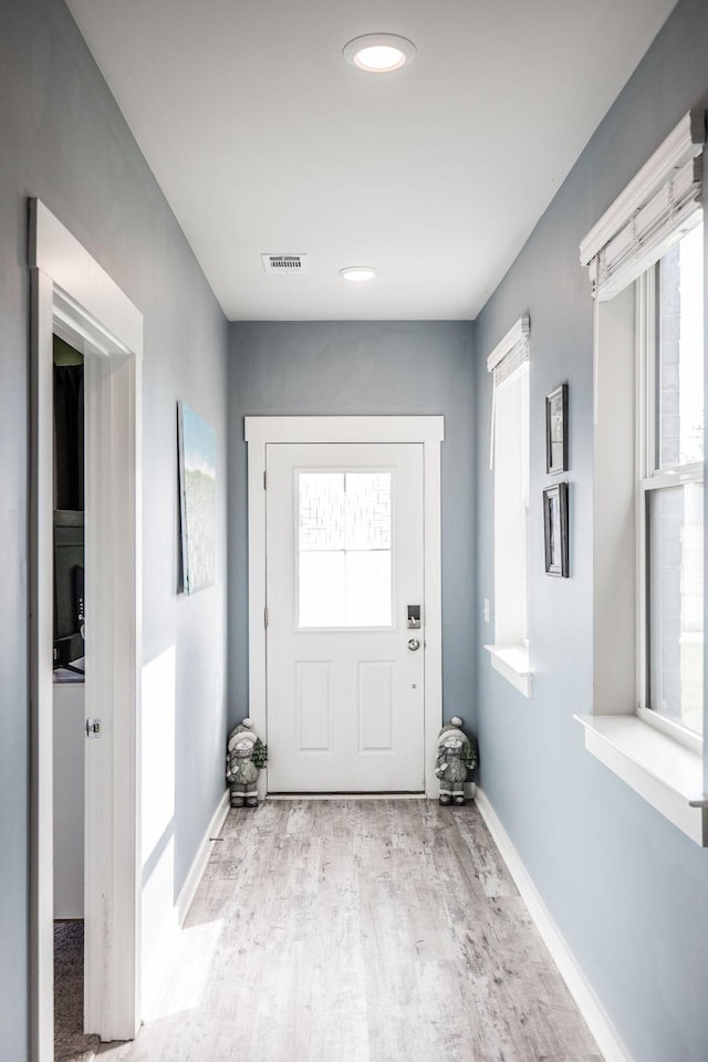 entryway featuring plenty of natural light and light hardwood / wood-style floors