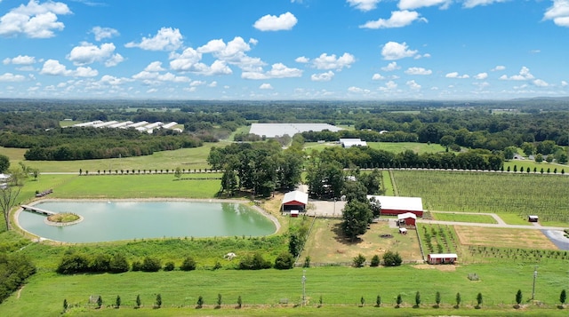 drone / aerial view with a water view and a rural view