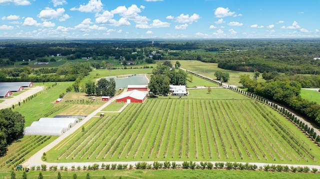 bird's eye view with a rural view