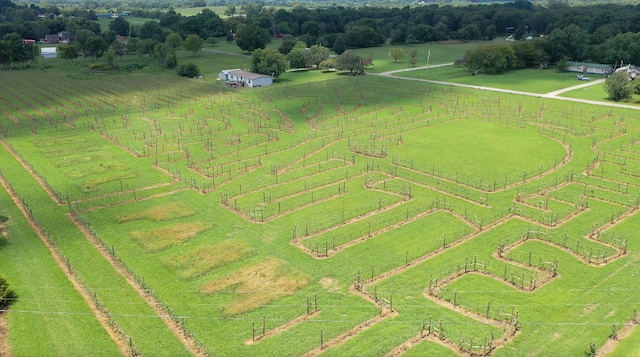 drone / aerial view with a rural view