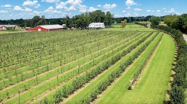 view of yard featuring a rural view