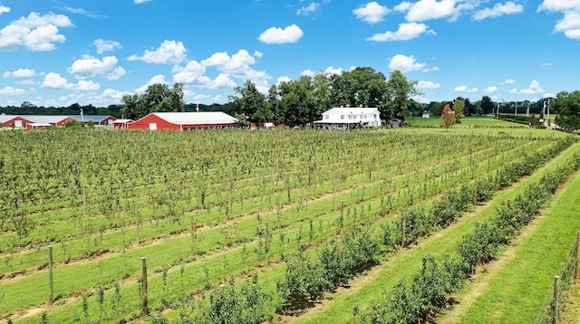 view of yard with a rural view