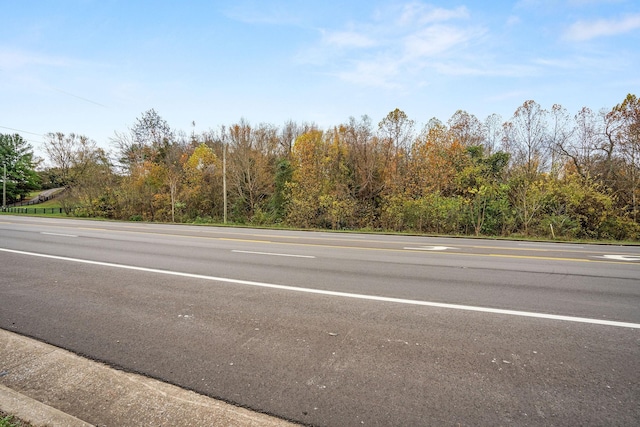 4081 Murfreesboro Rd W, Franklin, TN 37067 - photo 11
