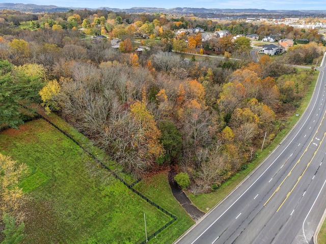 4081 Murfreesboro Rd W, Franklin, TN 37067 - photo 30