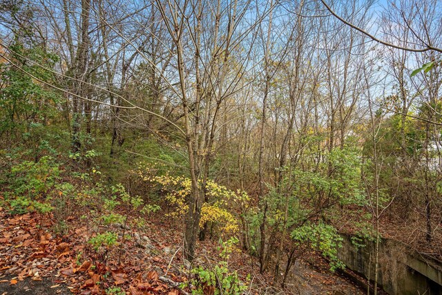 4081 Murfreesboro Rd W, Franklin, TN 37067 - photo 14