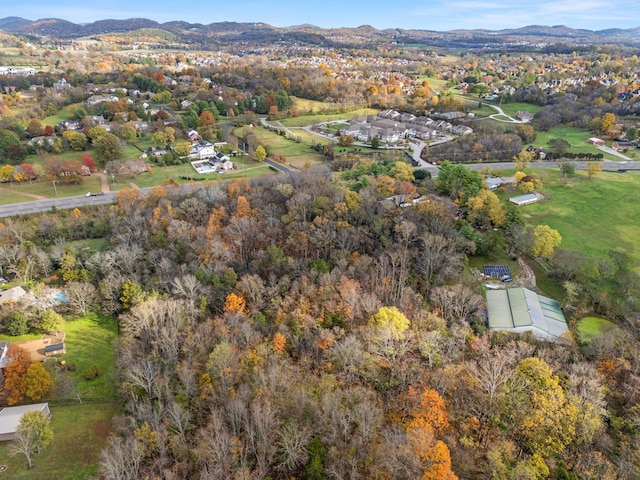 4081 Murfreesboro Rd W, Franklin, TN 37067 - photo 16
