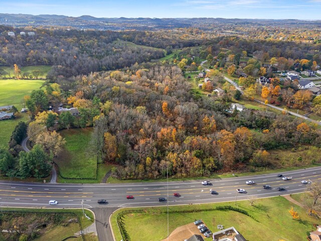 4081 Murfreesboro Rd W, Franklin, TN 37067 - photo 22