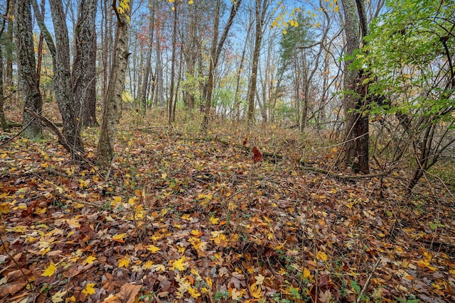 4081 Murfreesboro Rd W, Franklin, TN 37067 - photo 2