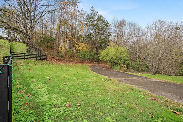 4081 Murfreesboro Rd W, Franklin, TN 37067 - photo 17