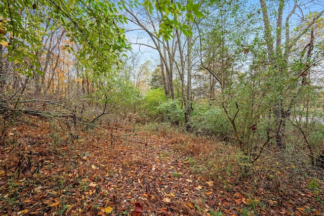 4081 Murfreesboro Rd W, Franklin, TN 37067 - photo 4