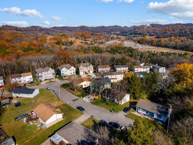 bird's eye view