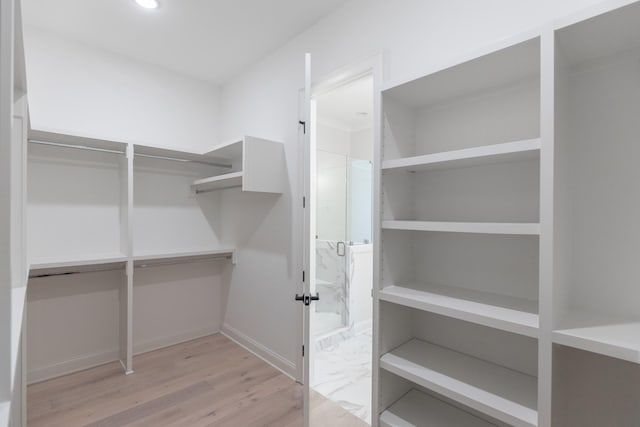 walk in closet featuring wood finished floors