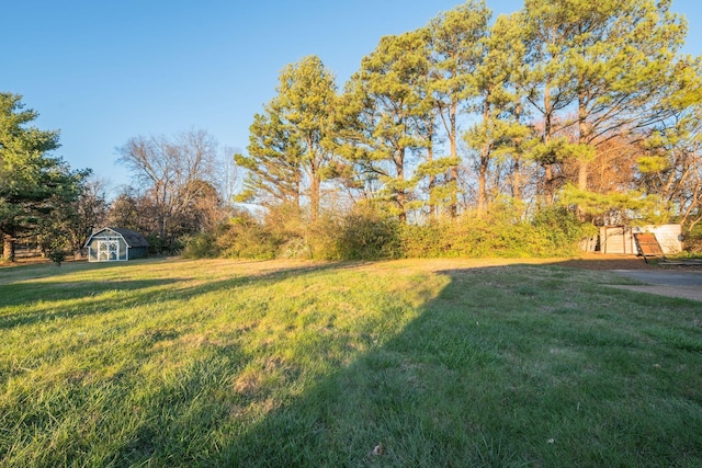 view of yard featuring a shed