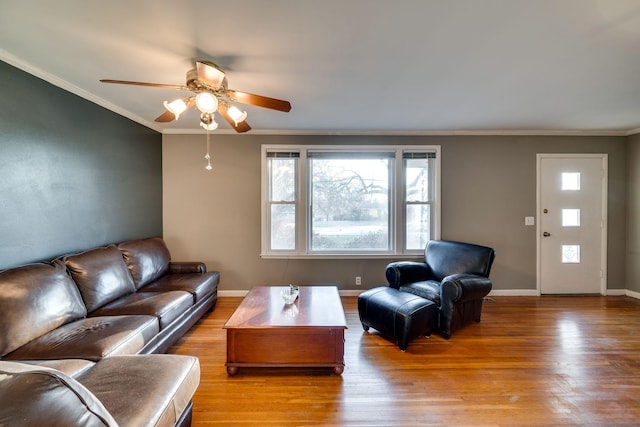 living room featuring light hardwood / wood-style floors, ceiling fan, and ornamental molding