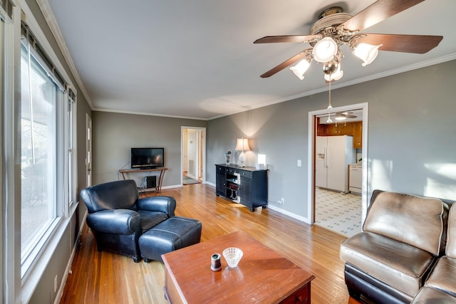 living room featuring light hardwood / wood-style flooring, ceiling fan, and crown molding