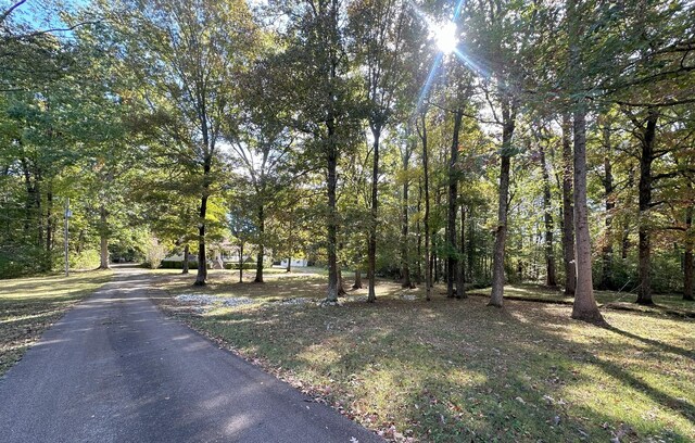 883 Crucifer Rd, Huron, TN 38345 - photo 2