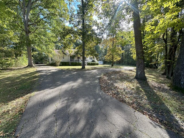 883 Crucifer Rd, Huron, TN 38345 - photo 3