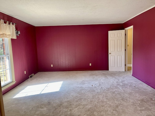 empty room featuring light carpet and a textured ceiling